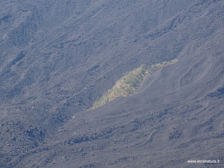 nte Rinatu-15-09-2019 11-02-42